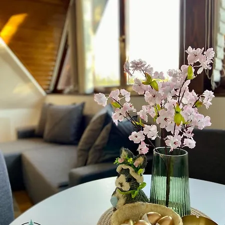 Take A Rest Apartman Zlatibor